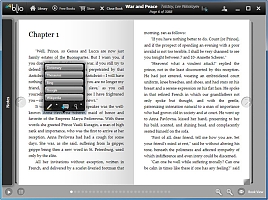 ePub Format